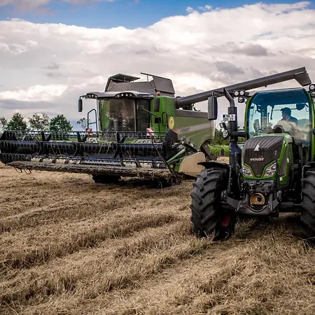 Gemuetliches Gaestezimmer