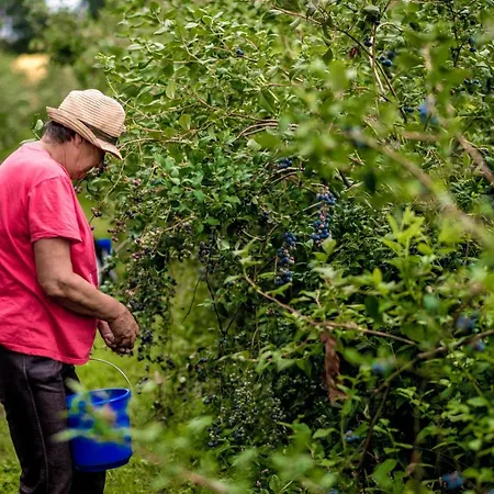 Appartamento Gemuetliches Gaestezimmer *
