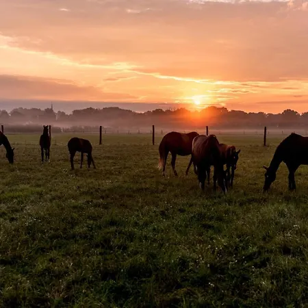 Gemuetliches Gaestezimmer Apartmán