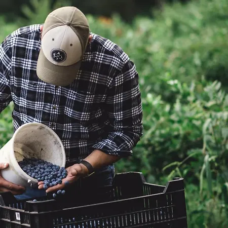 Appartamento Gemuetliches Gaestezimmer