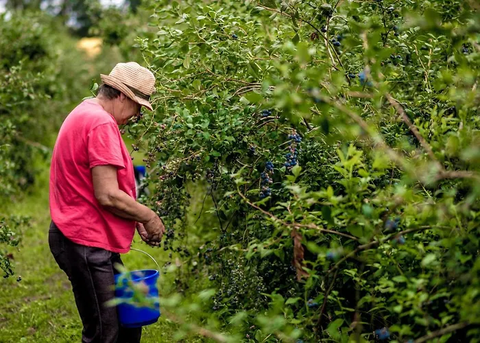 Apartamento Gemuetliches Gaestezimmer *