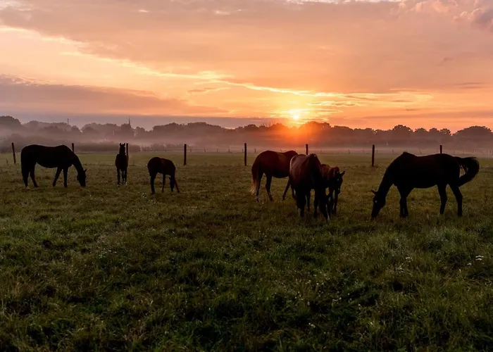 Gemuetliches Gaestezimmer Apartamento