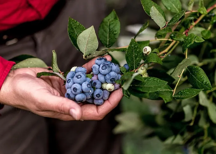 Gemuetliches Gaestezimmer Eickeloh