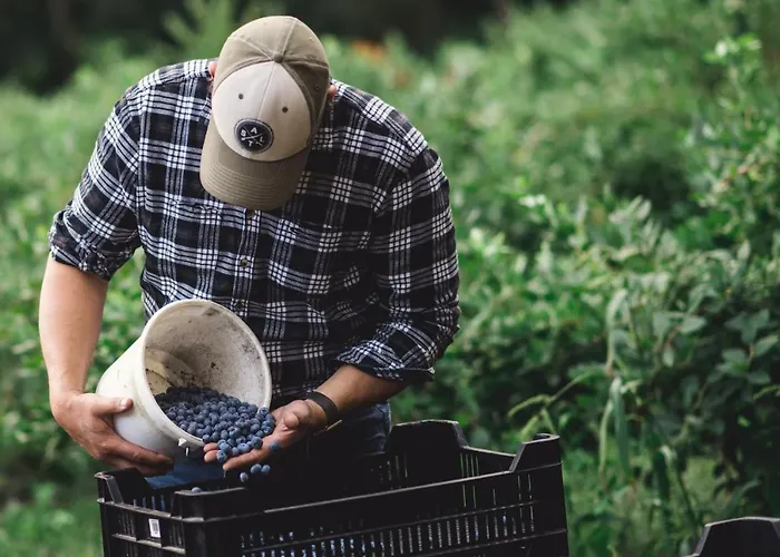 Apartamento Gemuetliches Gaestezimmer