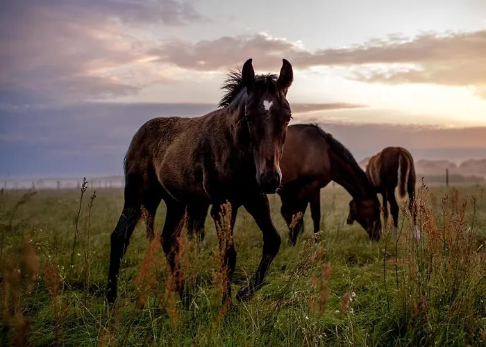 Gemuetliches Gaestezimmer *